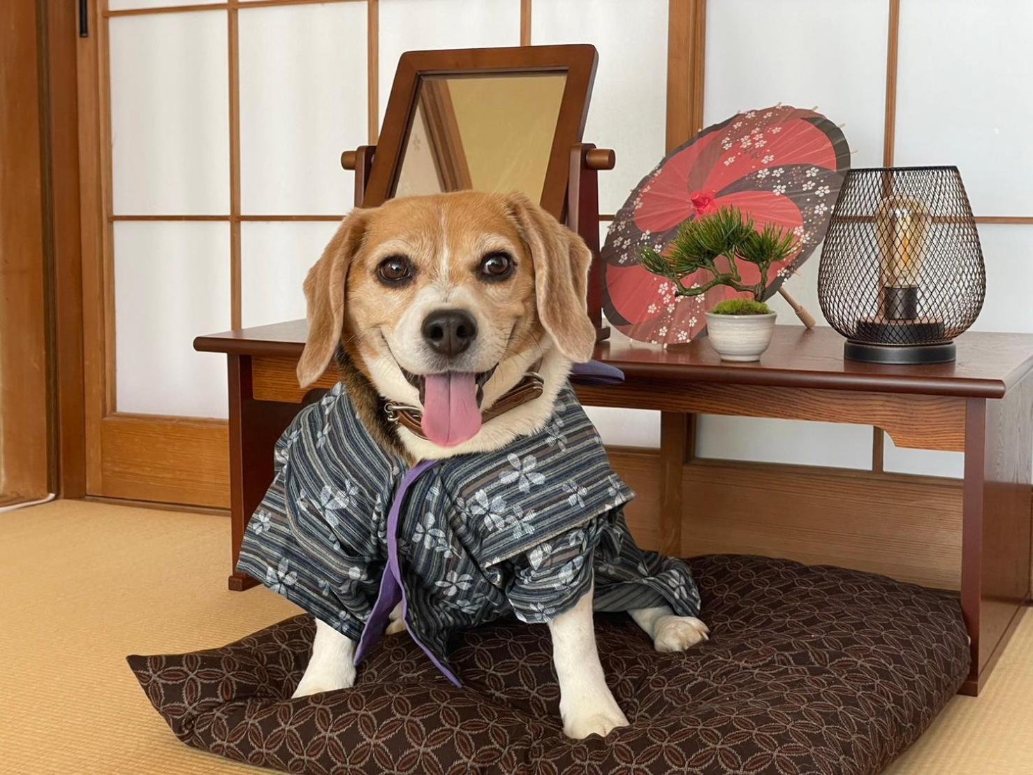 伊東市 Koco伊豆高原ヴィラ エクステリア 写真